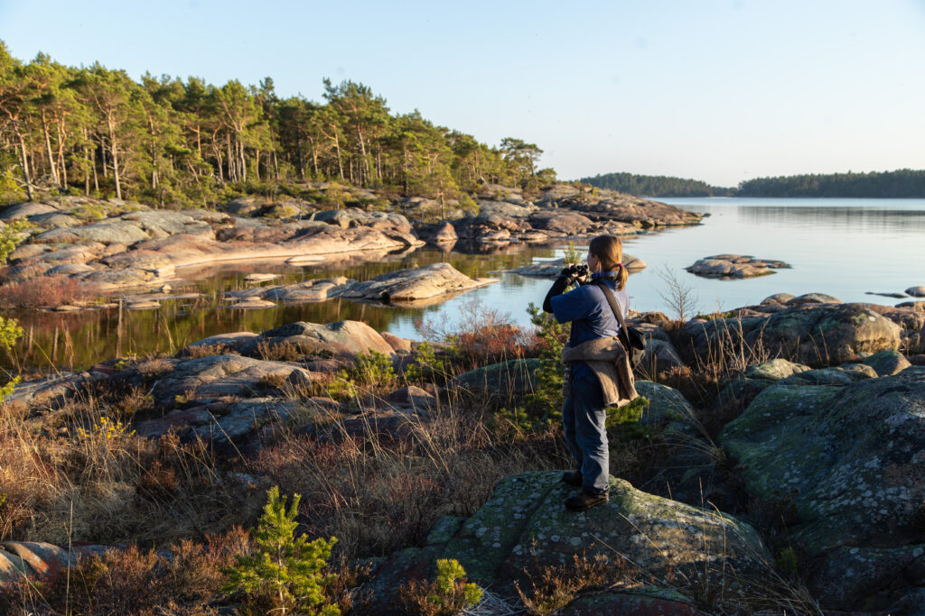 Båttur till Djurö Nationalpark